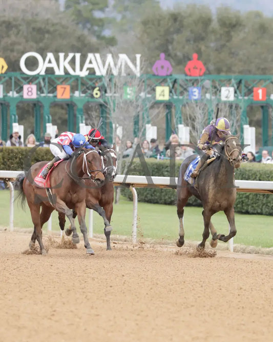 JUSTIQUE - 022325 - Race 04 - OP The Carousel Stakes - Finish 03 Oaklawn Park