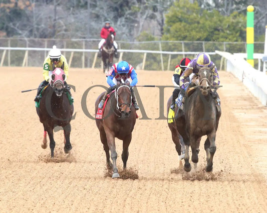 JUSTIQUE - 022325 - Race 04 - OP The Carousel Stakes - Head On 01 Oaklawn Park