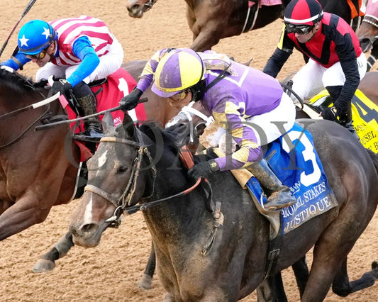 JUSTIQUE - 022325 - Race 04 - OP The Carousel Stakes - Inside Finish 02 Oaklawn Park