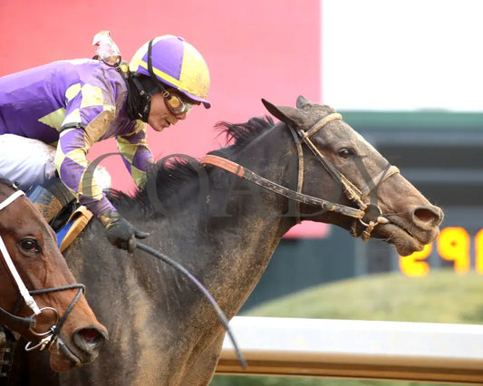 JUSTIQUE - 022325 - Race 04 - OP The Carousel Stakes - Tight Finish 01 Oaklawn Park
