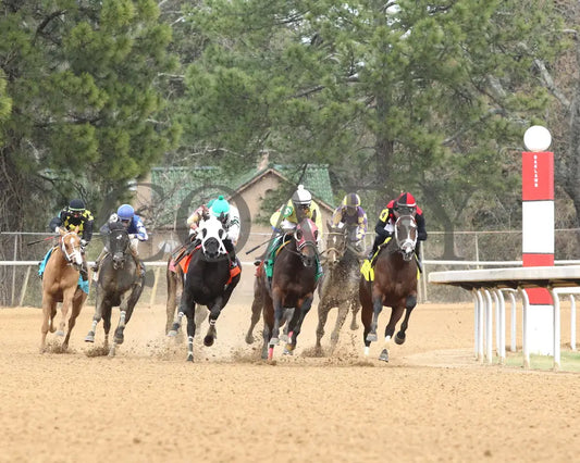 JUSTIQUE - 022325 - Race 04 - OP The Carousel Stakes - Turn 01 Oaklawn Park