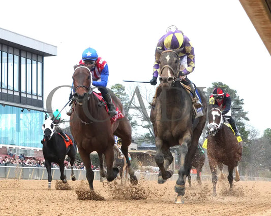 JUSTIQUE - 022325 - Race 04 - OP The Carousel Stakes - Under Rail 01 Oaklawn Park