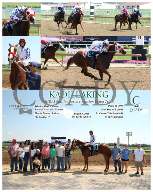 KADILLAKING - QHRAI Stallion Service Auction Derby Trials - 08-09-25 - R04 - IND Indiana Grand