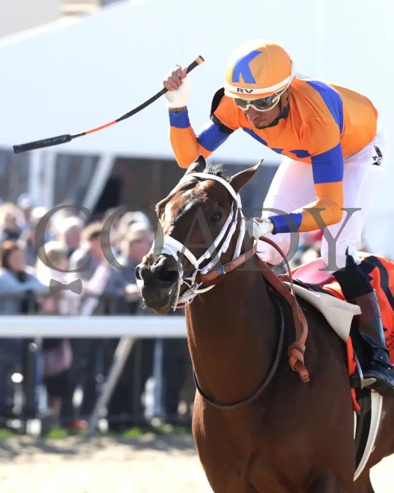 KALE’S ANGEL - ANIMAL KINGDOM STAKES - 39th Running - 03-22-25 - R09 - TP - Celebration 01 Turfway Park