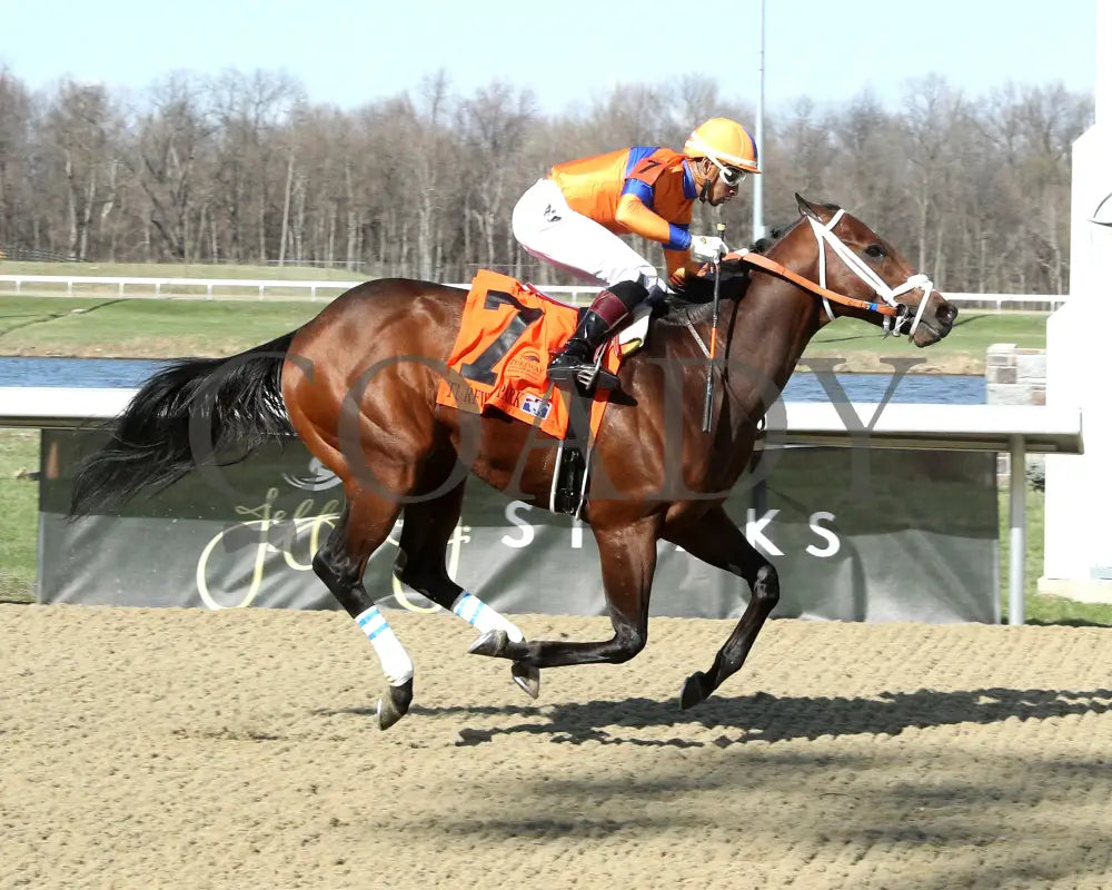 KALE’S ANGEL - ANIMAL KINGDOM STAKES - 39th Running - 03-22-25 - R09 - TP - Finish 01 Turfway Park