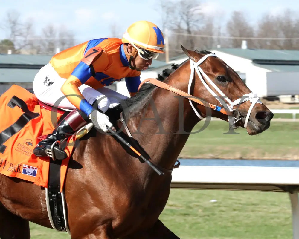 KALE’S ANGEL - ANIMAL KINGDOM STAKES - 39th Running - 03-22-25 - R09 - TP - Finish 02 Turfway Park