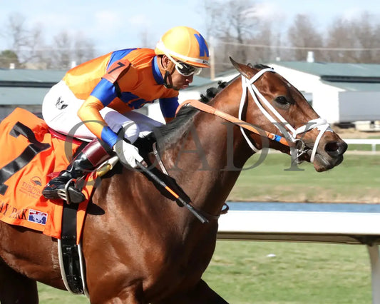KALE’S ANGEL - ANIMAL KINGDOM STAKES - 39th Running - 03-22-25 - R09 - TP - Finish 02 Turfway Park