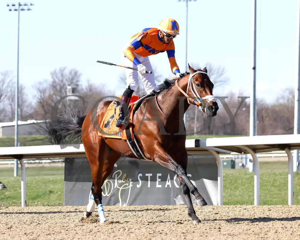 KALE’S ANGEL - ANIMAL KINGDOM STAKES - 39th Running - 03-22-25 - R09 - TP - Finish 03 Turfway Park