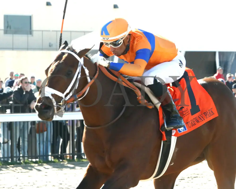 KALE’S ANGEL - ANIMAL KINGDOM STAKES - 39th Running - 03-22-25 - R09 - TP - Inside Finish 01 Turfway Park