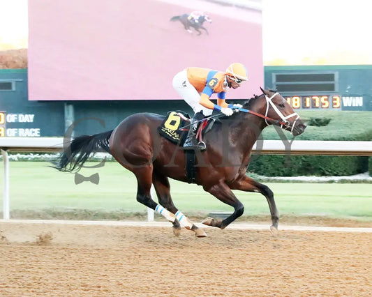 Kale’s Angel - The Advent Stakes 12-06-24 R09 Op Finish 01 Oaklawn Park