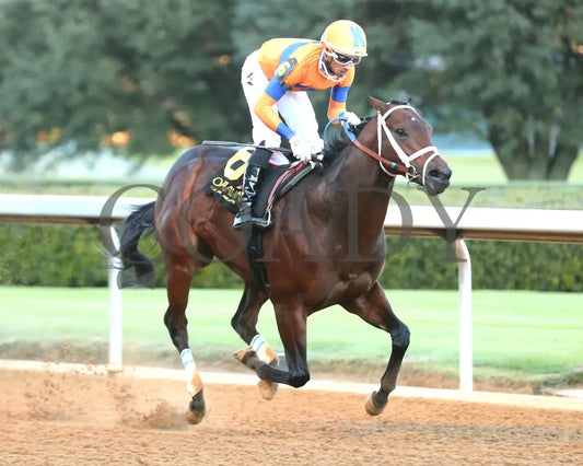 Kale’s Angel - The Advent Stakes 12-06-24 R09 Op Finish 02 Oaklawn Park