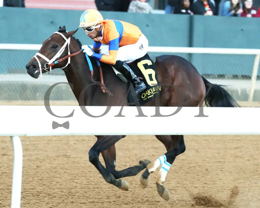 Kale’s Angel - The Advent Stakes 12-06-24 R09 Op Inside Finish 01 Oaklawn Park
