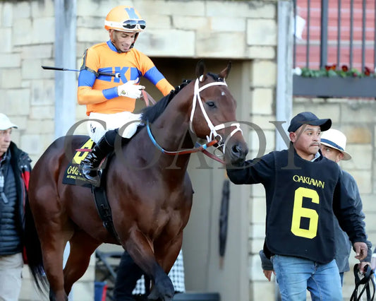 Kale’s Angel - The Advent Stakes 12-06-24 R09 Op Post Parade 01 Oaklawn Park