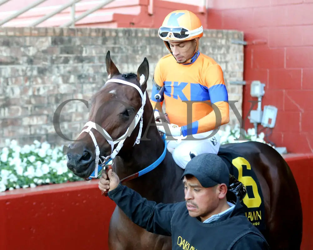 Kale’s Angel - The Advent Stakes 12-06-24 R09 Op Post Parade 02 Oaklawn Park