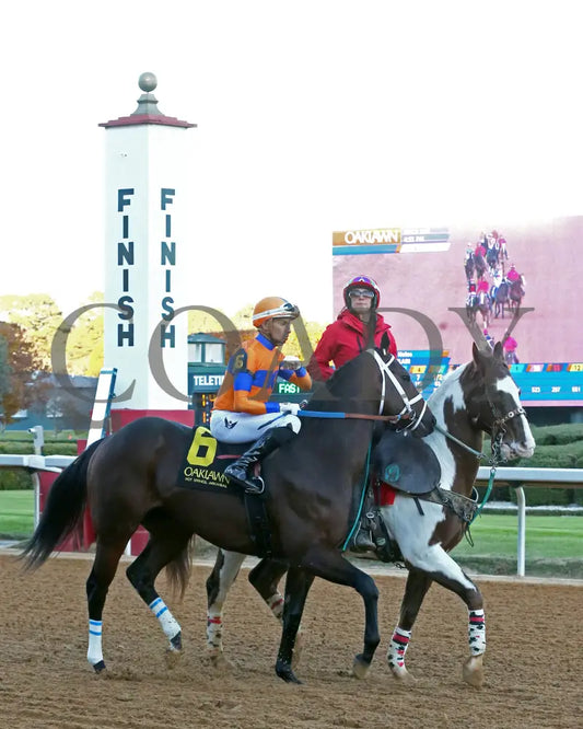 Kale’s Angel - The Advent Stakes 12-06-24 R09 Op Post Parade 03 Oaklawn Park