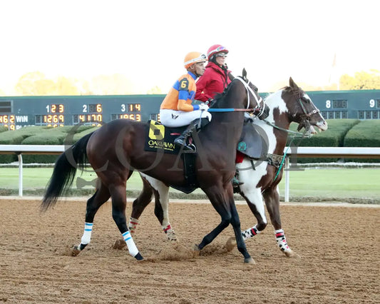 Kale’s Angel - The Advent Stakes 12-06-24 R09 Op Post Parade 04 Oaklawn Park
