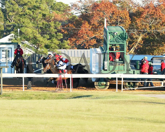 Kale’s Angel - The Advent Stakes 12-06-24 R09 Op Start 01 Oaklawn Park
