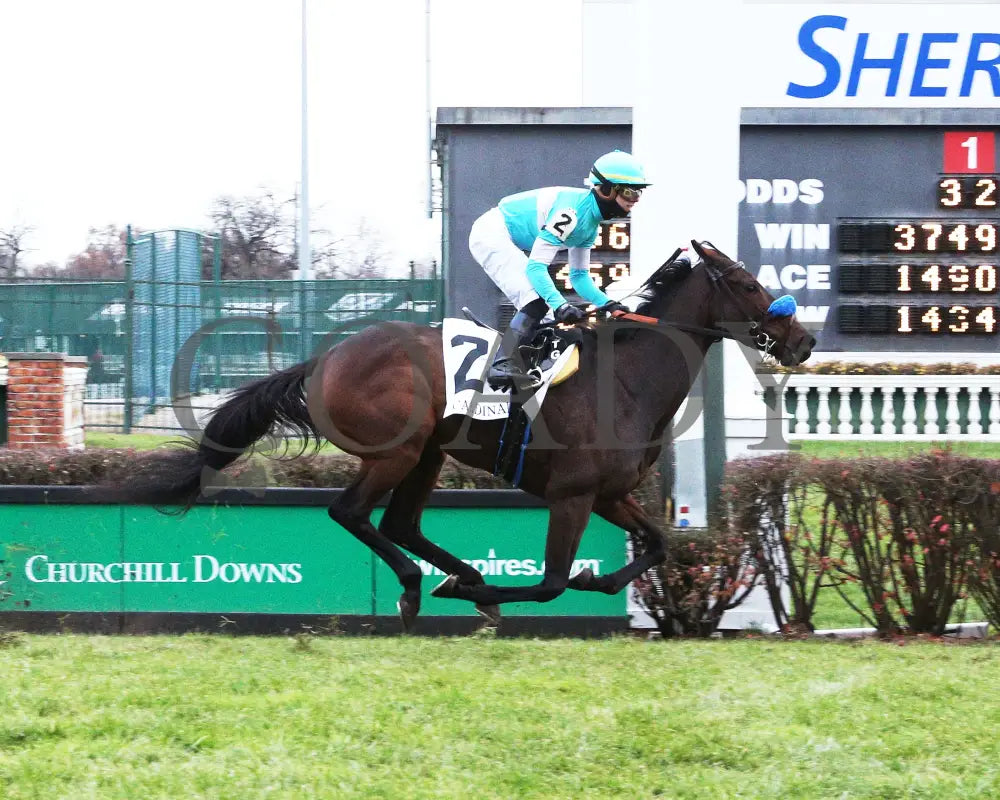 Kallio - Cardinal G3 46Th Running 11-28-19 R11 Cd Finish 01 Churchill Downs