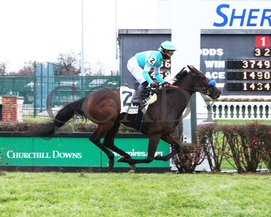 Kallio - Cardinal G3 46Th Running 11-28-19 R11 Cd Finish 01 Churchill Downs