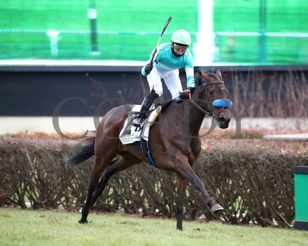 Kallio - Cardinal G3 46Th Running 11-28-19 R11 Cd Finish 02 Churchill Downs