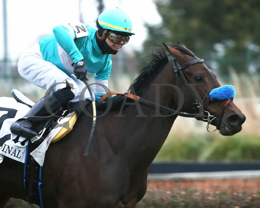 Kallio - Cardinal G3 46Th Running 11-28-19 R11 Cd Finish 03 Churchill Downs