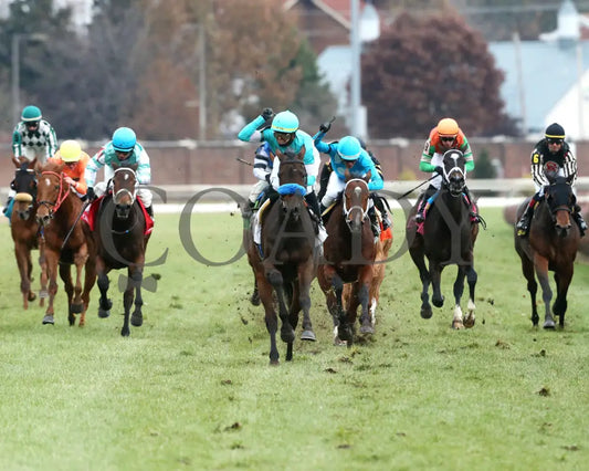 Kallio - Cardinal G3 46Th Running 11-28-19 R11 Cd Head On 01 Churchill Downs