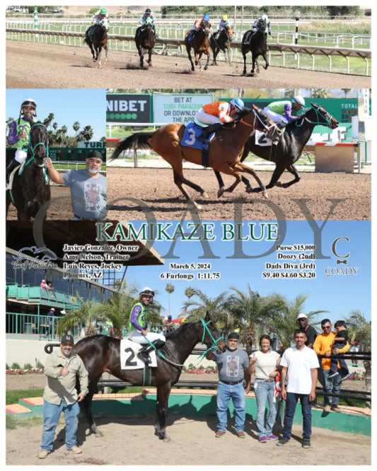 Kamikaze Blue - 03-05-24 R04 Tup Turf Paradise