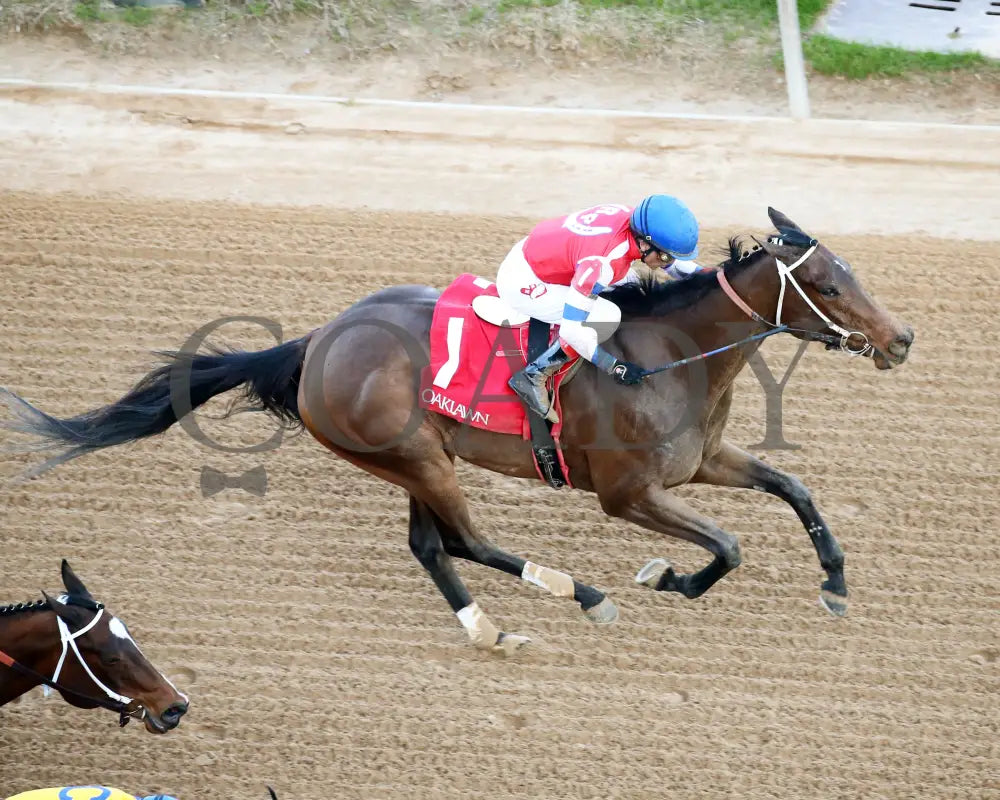 Kantex - Downthedustyroad Breeders’ Stakes 16Th Running 03-02-24 R09 Op Aerial Finish 01 Oaklawn
