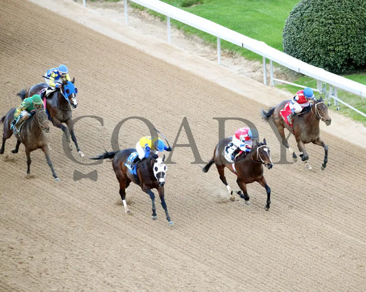 Kantex - Downthedustyroad Breeders’ Stakes 16Th Running 03-02-24 R09 Op Aerial Finish 02 Oaklawn