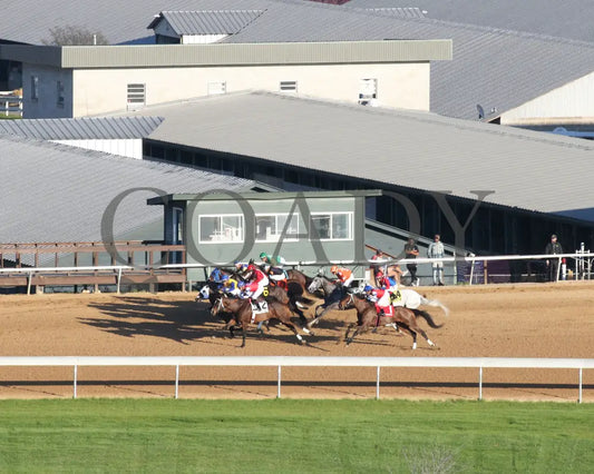Kantex - Downthedustyroad Breeders’ Stakes 16Th Running 03-02-24 R09 Op Aerial Start 01 Oaklawn Park