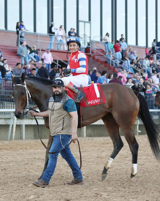 Kantex - Downthedustyroad Breeders’ Stakes 16Th Running 03-02-24 R09 Op Come Back 01 Oaklawn Park
