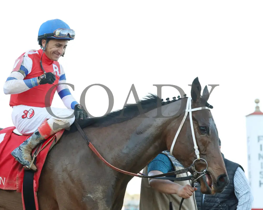 Kantex - Downthedustyroad Breeders’ Stakes 16Th Running 03-02-24 R09 Op Come Back 04 Oaklawn Park