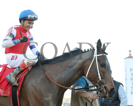 Kantex - Downthedustyroad Breeders’ Stakes 16Th Running 03-02-24 R09 Op Come Back 04 Oaklawn Park