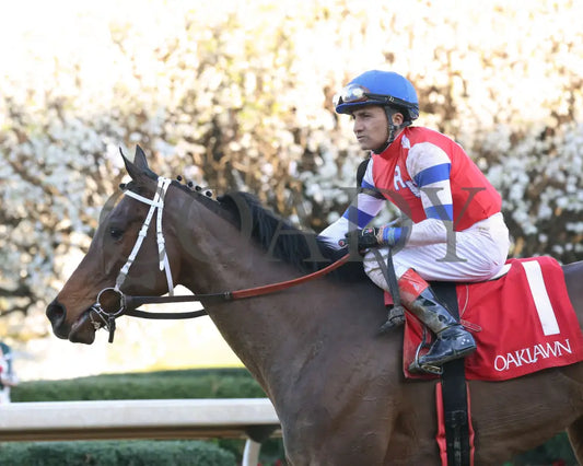 Kantex - Downthedustyroad Breeders’ Stakes 16Th Running 03-02-24 R09 Op Come Back 05 Oaklawn Park