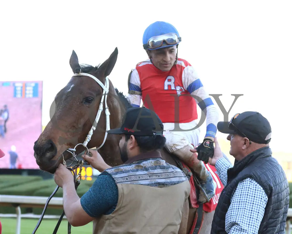 Kantex - Downthedustyroad Breeders’ Stakes 16Th Running 03-02-24 R09 Op Come Back 02 Oaklawn Park