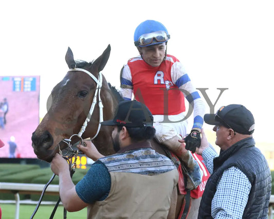 Kantex - Downthedustyroad Breeders’ Stakes 16Th Running 03-02-24 R09 Op Come Back 02 Oaklawn Park