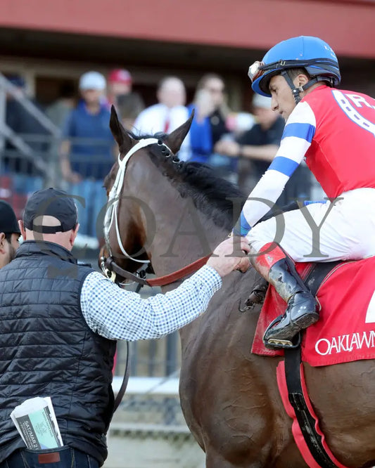 Kantex - Downthedustyroad Breeders’ Stakes 16Th Running 03-02-24 R09 Op Come Back 03 Oaklawn Park