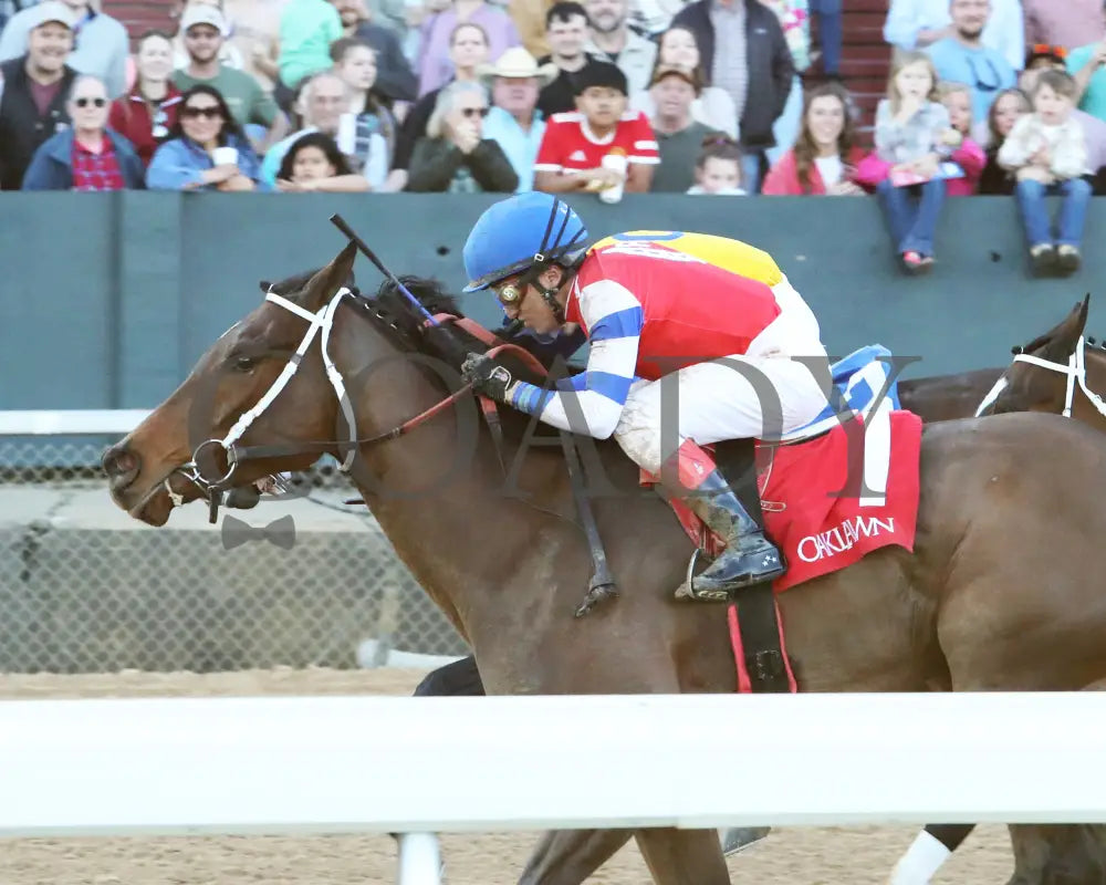 Kantex - Downthedustyroad Breeders’ Stakes 16Th Running 03-02-24 R09 Op Inside Finish 01 Oaklawn