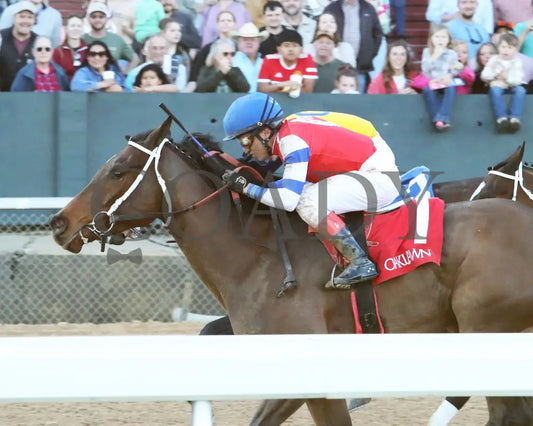 Kantex - Downthedustyroad Breeders’ Stakes 16Th Running 03-02-24 R09 Op Inside Finish 01 Oaklawn