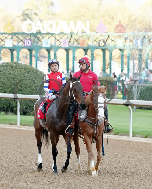 Kantex - Downthedustyroad Breeders’ Stakes 16Th Running 03-02-24 R09 Op Post Parade 01 Oaklawn Park