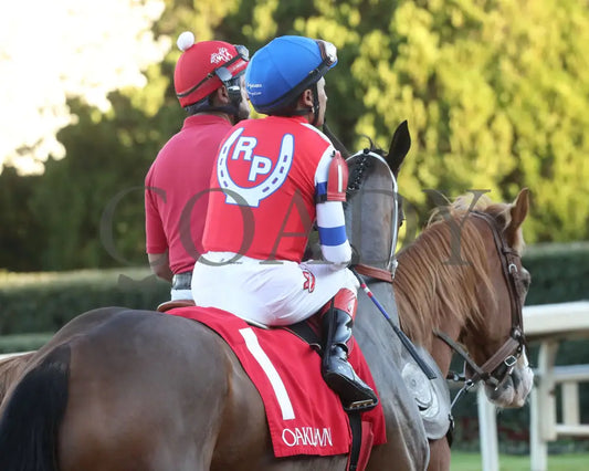 Kantex - Downthedustyroad Breeders’ Stakes 16Th Running 03-02-24 R09 Op Post Parade 03 Oaklawn Park