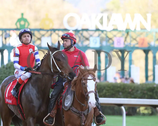 Kantex - Downthedustyroad Breeders’ Stakes 16Th Running 03-02-24 R09 Op Post Parade 02 Oaklawn Park