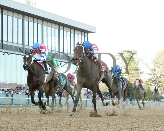Kantex - Downthedustyroad Breeders’ Stakes 16Th Running 03-02-24 R09 Op Under Rail 01 Oaklawn Park
