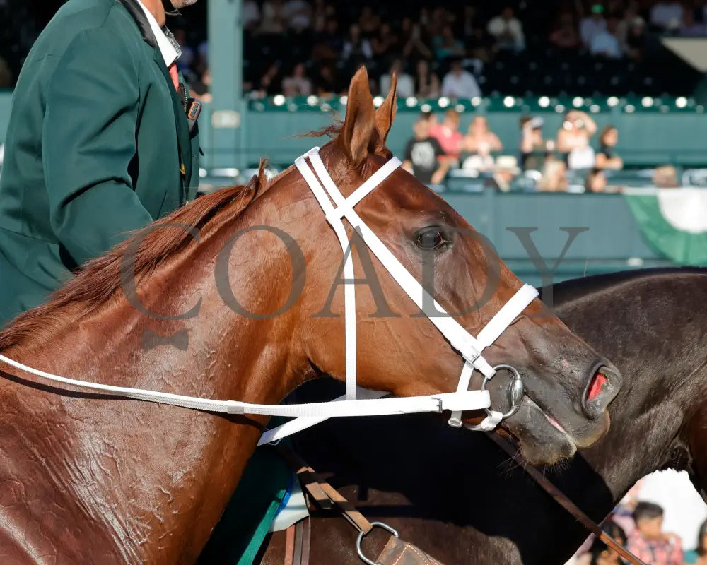 KAPPA KAPPA - 101825 - Race 09 - KEE - Come Back 05 Keeneland