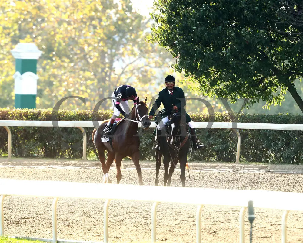 KAPPA KAPPA - 101825 - Race 09 - KEE - Come Back 06 Keeneland