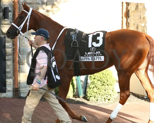 KAPPA KAPPA - 101825 - Race 09 - KEE - Paddock 02 Keeneland