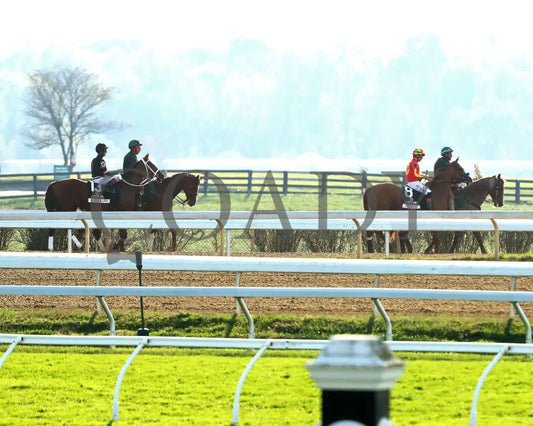KAPPA KAPPA - 101825 - Race 09 - KEE - Post Parade 05 Keeneland