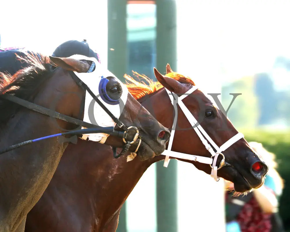 KAPPA KAPPA - 101825 - Race 09 - KEE - Tight Finish 01 Keeneland