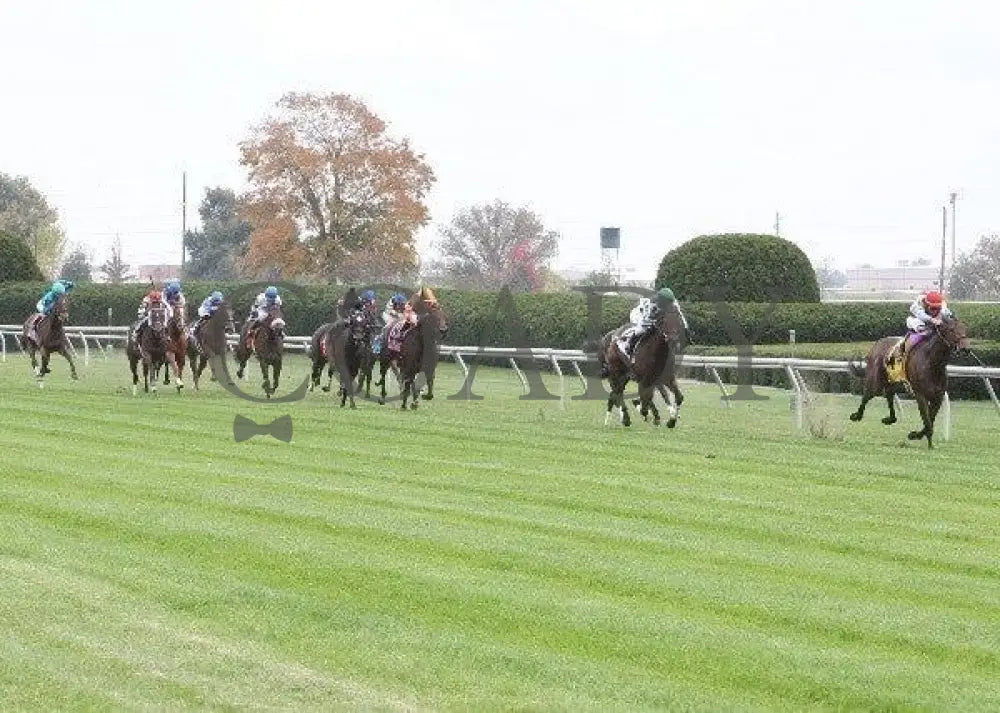 Karlovy Vary - 1 101211 Race 05 Keeneland