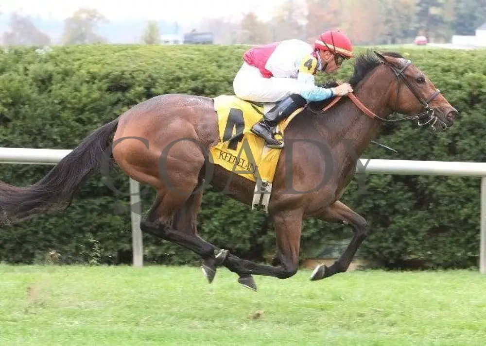 Karlovy Vary - 2 101211 Race 05 Keeneland